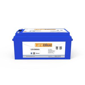 LB12300D-V3